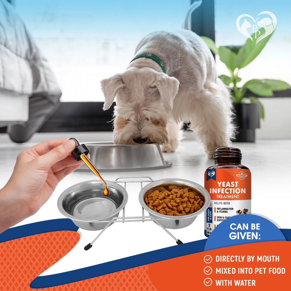 Natural Dog Yeast Infection anti Itch Treatment